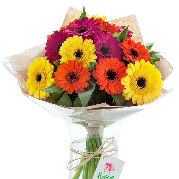 In this luminous studio composition, a luxuriant bouquet of hand-tied Gerbera daisies stands gracefully within a crystal-clear vase, framed by a backdrop of clean white-evoking the calm, open spaces of Queensbury's local parks. The bouquet's heart is a lavish gathering of sizeable Gerberas, blooming in bright yellow, vivid orange, and intense fuchsia hues, each bloom crowned by a deep, nearly-black center that draws the eye. Fine green foliage weaves amongst the blooms, adding crisp texture and a sense of depth as if freshly collected from the greenery near Roe Green Park. The upper arrangement is swaddled in rustic kraft paper, lending an earthy, artisanal tone, while a glistening cellophane wrap fans out protectively, hinting at modern presentation and care. Beneath, the sturdy stems are visible, submerged in fresh water, their lines showcased by the vase's slender hourglass form. A rustic twine is knotted with intention around the stems inside the vase, supporting a petite tag adorned with a stylised rose-a testament to the handmade quality and attention to detail typical of local specialists. Ideal for thoughtful gifting, celebratory occasions, or adding a burst of colour to any Queensbury home, this bouquet captures the tradition and vibrancy of flower delivery services in the heart of the community. Each visual element, from petal to paper, speaks of freshness, joy, and the enduring beauty of locally crafted arrangements.