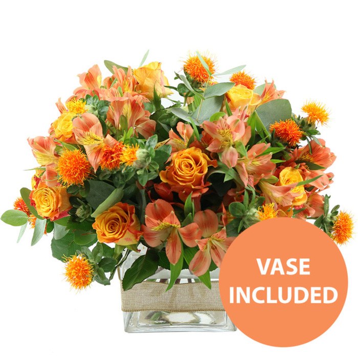 A richly coloured orange and yellow flower arrangement is positioned centrally against a clean white backdrop, its composition carefully balanced and glowing as if lit by soft midday light over Queensbury's residential streets. At the forefront, several large orange roses command attention, each bloom layered with gently curling petals that shift in tone from deep mandarin at the outer edges to hints of golden yellow near the heart, creating a sense of depth and warmth. Threaded seamlessly among them are stems of peach and yellow alstroemeria, or Peruvian lilies, whose trumpet-like flowers fan outward; their inner petals are delicately patterned with fine, darker streaks, adding an intricate, almost hand-painted quality. Between the more open shapes of the roses and lilies, small spherical orange flowers with spiky, radiating bracts stand out, giving the bouquet a distinctive, tactile energy, reminiscent of wild thistles yet styled carefully by a skilled florist. Surrounding the blooms, eucalyptus leaves in soft, dusty green and deeper green foliage form a generous halo of greenery, the contrast between rounded and elongated leaves adding visual rhythm and framing the warmer colours at the centre. The flowers are anchored in a transparent, square glass vase that reveals the neatly trimmed stems and clear water inside, suggesting freshness and professional care typical of arrangements delivered throughout Queensbury and nearby Kingsbury. Wrapped around the vase's midsection, a strip of natural burlap or jute lends rustic charm, its pale beige tone and fibrous texture setting off the sleek glass and lush flowers. In the lower right corner of the image, a circular orange emblem contains the words VASE INCLUDED in bold white capitals, signalling that the arrangement arrives complete and ready to place on a table or windowsill. The uncluttered white background and even lighting focus attention entirely on the bouquet's inviting mix of autumnal and summery hues, making it ideal for brightening homes, celebrating milestones, or sending warm wishes to loved ones in Queensbury.