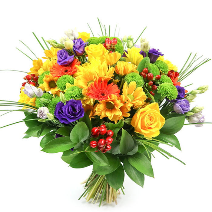 Captured against a crisp white background, this hand-tied bouquet appears almost to glow, its lively colours and carefully layered textures radiating outwards in a generous, rounded shape. The overall design is dense yet thoughtfully composed, with each stem positioned to create harmony, as if arranged in a busy Queensbury flower shop just off Honeypot Lane. At its heart lies a joyful cluster of yellow blooms: classic yellow roses with tightly furled, spiralled centres and soft outer petals beginning to unfurl, accompanied by plump yellow chrysanthemums whose many petals form a soft cushion of colour. Between them, striking orange gerbera daisies and smaller orange daisy-like flowers add warmth and dynamism, their strong petals and dark centres giving the bouquet a contemporary edge. Deep purple lisianthus bring a rich, velvety contrast, their layered, rose-like petals curling inwards and outwards, while a few paler lavender and white lisianthus buds peek through, suggesting freshness and ongoing bloom. Punctuating the arrangement are lime-green button chrysanthemums, small and spherical, their compact petals forming playful, tactile pom-poms that brighten the entire palette. Glossy red hypericum berries nestle among the flowers, adding jewel-like dots of colour and a smooth, waxy surface that contrasts with the softness of the petals. Encircling all of this is a collar of lush, dark green foliage, likely Ruscus, whose broad, shining leaves provide depth and structure. Slender blades of ornamental grass fan gracefully from the top and sides, adding lightness and a sense of movement, as though the bouquet has just been turned in the florist's hands. The whole composition feels celebratory and generous, ideal for birthdays, anniversaries, or a radiant thank-you sent to friends and family across Queensbury and neighbouring Kingsbury.