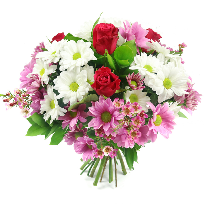 Against a bright, uncluttered white backdrop, this meticulously arranged bouquet appears almost to float, its colours and textures drawing the eye like a feature display in a Queensbury flower shop window. At the centre, two sumptuous deep red roses command attention, their tightly furled, velvety petals layered in precise spirals, symbolising enduring love, admiration, or deep gratitude. Encircling the roses is a generous cluster of white daisy-like chrysanthemums, each bloom crisp and luminous, offset by striking lime-green centres that bring a lively, uplifting contrast, much like the fresh greens seen around the residential gardens and tree-lined streets near Queensbury. Woven among these whites are multiple pink chrysanthemums, ranging from light blush to warmer mid-pink, each also with a vivid green eye; they introduce a soft, celebratory energy and bridge the bold red and pure white tones. Scattered throughout, small sprays of pale pink filler flowers resembling waxflowers add a fine, intricate texture, their tiny, star-shaped blossoms and slender stems giving the bouquet depth and a sense of gentle movement, particularly noticeable around the perimeter. Lush green foliage, including broad, dark leaves and brighter green highlights, forms a verdant backdrop that frames and enriches the central colours, evoking the feeling of something freshly gathered and expertly refined. At the bottom, the stems are carefully aligned and tied into a clean, hand-tied bundle, clearly ready to be placed into a vase on a Queensbury dining table or sideboard. The overall impression is of a thoughtfully crafted floral arrangement that balances romance and cheerfulness, making it suitable for birthdays, anniversaries, Mother's Day, or sending heartfelt wishes to someone in the Queensbury area.