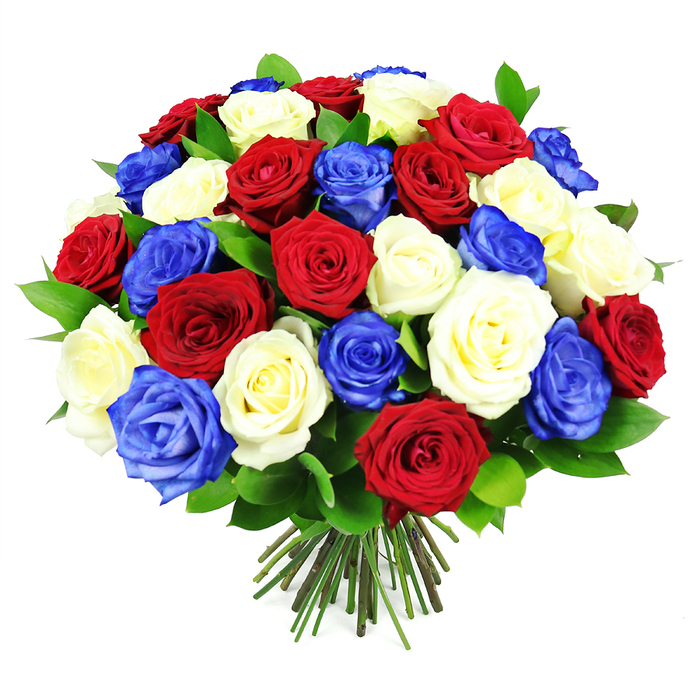 This image shows a meticulously crafted, dome-shaped bouquet of roses in a bold red, white, and royal blue palette, styled to convey a strong sense of patriotism and unity. The bouquet appears generously sized, with dozens of rose heads nestled shoulder to shoulder, their stems tightly bound so the flowers form a smooth, rounded crown. The deep crimson red roses are velvety and intense, evoking feelings of love, courage, and remembrance, while the creamy white roses offer a serene counterpoint, their layered petals reminiscent of folded silk. Interspersed among them, the blue roses stand out with an almost electric sapphire hue, giving the arrangement a distinctive character that feels modern and slightly dramatic. Soft, even lighting enhances the natural sheen of the dark green leaves that peek between the blooms, adding texture and framing the tricolour roses with a subtle halo of foliage. Below, the stems are trimmed in a clean line, some green and some tipped with light brown where they've been freshly cut, ready to be placed straight into water. The bouquet is photographed against a stark, uncluttered white background, allowing the colours to pop as if they were floating in space. It is the kind of arrangement you might see delivered to a Queensbury home near Cannons Park for a national holiday, Remembrance Sunday gathering, or a themed celebration where symbolism really matters. The overall feeling is proud yet tender, like a floral salute that could sit at the centre of a family table or at the heart of a commemorative display, carrying the quiet weight of shared history and gratitude.
