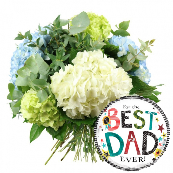 Set against a pure white background, this photograph presents a bright and joyful Father's Day display that would feel at home in a Queensbury high street shop window. The main focus is a lavish bouquet of fresh hydrangeas, arranged in a rounded, slightly asymmetrical shape that feels natural yet refined. At the centre, several large heads of creamy white hydrangeas form a soft, voluminous core, their countless tiny petals overlapping to create a plush, cloud-like texture. Around them, light blue hydrangea blooms emerge from the left and upper areas of the arrangement, lending an airy, tranquil mood. Interwoven among the whites and blues are vivid lime green hydrangeas, especially noticeable along the right-hand side and near the lower left, adding a refreshing pop of colour that energises the whole design. The bouquet is enriched with plentiful greenery: slender sprigs of silvery eucalyptus with rounded leaves, and darker green foliage that adds contrast and depth, like the layered greens you might see in the tree-lined streets around Queensbury. The stems are gathered together at the bottom, straight and clean, revealing this is a hand-tied bunch ready to be wrapped and sent out for same-day local delivery. Overlapping the lower right of the bouquet is a glossy, circular foil balloon. Its centre is bright white, framed at the top and bottom by stylish black-and-white stripes that give a smart, modern feel. Across the middle, the message For the BEST DAD EVER! appears in a playful mix of fonts. The words BEST and DAD are highlighted in bold colours and patterns-reds, teals, polka dots, and stripes-while a tiny No. 1 rosette sits proudly near BEST. Dotted around the lettering are lively stars and confetti-like spots in yellow, red, teal, and black, suggesting a shower of celebration. The combination of cool-toned hydrangeas and the fun Father's Day balloon makes this arrangement ideal for surprising a cherished dad in Queensbury, whether at home or at work.