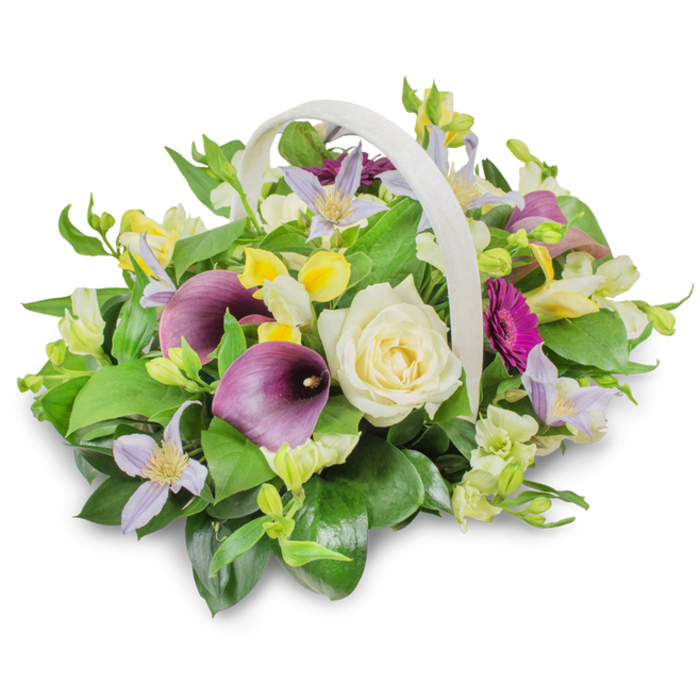 A refined funeral flower arrangement is captured in a clear, high-contrast studio photograph, the white background allowing every colour and contour to be easily imagined. The flowers spill generously from a pale woven basket with a sturdy, curved handle, the neutral tone of the basket giving the design a soft, understated frame. Dominating the centre is a beautifully formed creamy white rose, its furled petals arranged in a perfect rosette that conveys purity, love, and remembrance. Flanking the rose, two deep purple calla lilies rise, their sculptural, trumpet-like forms introducing an air of modern sophistication often chosen for memorial services in Queensbury. Light lavender and soft lilac clematis-like flowers, with their characteristic star-shaped petals and tiny yellow hearts, weave gently through the bouquet, softening the lines and adding a whisper of garden romance. Bright yellow blossoms, similar to freesia or alstroemeria, dot the arrangement like pockets of sunlight, while smaller white and pale green flowers fill subtle gaps, lending texture without overwhelming the eye. Toward the right side, a vivid magenta gerbera-style daisy draws attention with its clean, radiating petals, suggesting a single, treasured memory shining through grief. All of this colour rests on a foundation of lush greenery: broad, glossy dark green leaves and lighter, more delicate stems create a full, rounded silhouette. The soft studio lighting casts a gentle shadow beneath the basket, grounding the image with a lifelike sense of depth. This serene composition feels ideal for honouring a loved one's life, suitable for funeral chapels and home memorial gatherings across Queensbury.