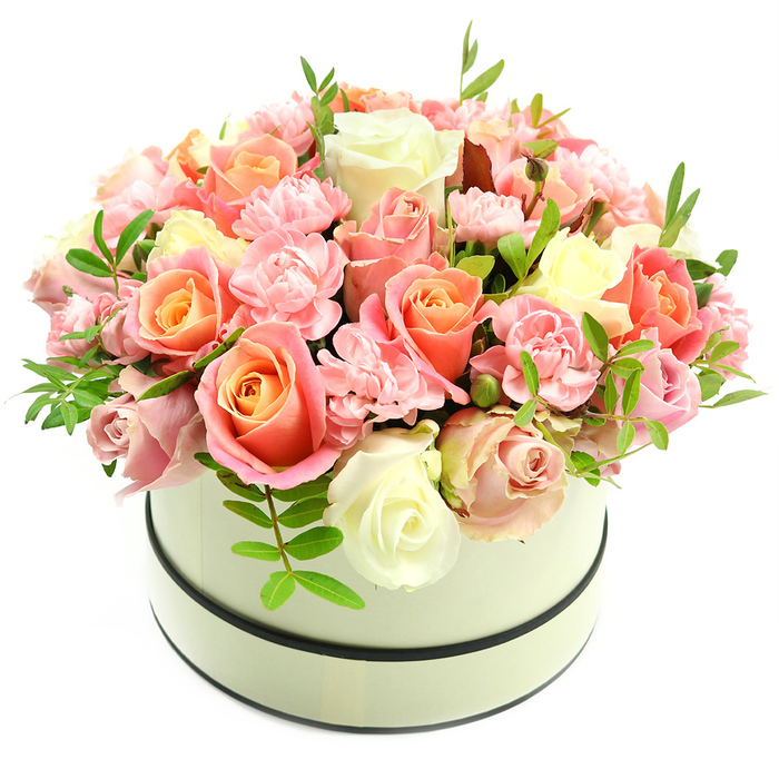 A meticulously crafted floral composition presented in a pale cream hatbox, the container distinguished by two thin, dark bands-one circling the top rim and one at the base-which lend the piece a refined, timeless outline against a clean white studio background. The arrangement forms a compact, domed silhouette composed primarily of multiple varieties of roses and interspersed carnations. Larger roses show a graceful gradient from warm coral-peach and apricot at the centre of each bloom to paler blush and ivory toward the petal edges, while additional roses in subtle blush pink and creamy white contribute luminous contrast and depth. Between these larger heads, small clusters of ruffled light-pink carnations introduce an intricate textural element, their frilly petals filling negative space and enhancing the bouquet's plush appearance. Wisps of fresh green foliage, with narrow, elongated leaves, emerge sparingly to provide crisp, natural accents and visual relief. The composition is lit so that petal surfaces display a velvety sheen and the domed shape reads sculpturally; some roses are open and soft, others remain cupped as buds, suggesting both immediacy and durability. The overall effect is elegant abundance-an ideal premium gift for commemorating birthdays, anniversaries, Valentine's Day or for conveying gratitude. Imagine this arrangement placed on a dining table in a Queensbury terrace or offered as a thoughtful gift to friends near Canons Park, its scent and colour evoking quiet celebration and floral craftsmanship.