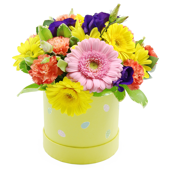 A charming Easter floral hatbox arrangement is shown in full, positioned against a pure white backdrop that highlights its bright spring palette and careful craftsmanship. The flowers spill just above the rim of a cylindrical pastel lime-green box, creating a rounded dome of colour that feels generous and abundant. At the centre of the composition, a large soft pink gerbera daisy stands out, its layered petals arranged in a precise circle around a pale green central disk, like a single blossom you might pause to admire along a quiet Queensbury side street in early spring. Surrounding it are clusters of vivid yellow chrysanthemum daisies, their tightly packed petals fanning outward to mimic tiny suns, injecting warmth and energy into the design. Between them, frilled coral-orange carnations rise up, their ruffled petals adding movement and a slightly nostalgic softness that suggests memories of family gatherings and seasonal celebrations. Rich, velvety lisianthus blossoms in deep violet-purple are interspersed throughout, offering a cool, elegant counterpoint to the warmer tones, and drawing the eye inward to explore the different depths of colour. Fresh foliage provides a verdant backdrop, with several leaf shapes and sizes, including discreetly variegated leaves edged in creamy white, giving the arrangement a layered, garden-like feel. The hatbox base is printed with whimsical pastel Easter eggs in pale blue, pink, and white, some decorated with tiny dots and stripes, making the piece especially fitting for Easter Sunday lunches or springtime visits in the Queensbury area. Designed as a low, compact display, it would sit perfectly at the centre of a dining table or on a hallway console, greeting guests with a burst of seasonal cheer as they come in from the local streets.