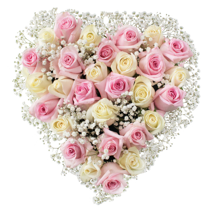 A perfect heart of roses and Gypsophila fills the frame, its edges clean and symmetrical against a bright white studio surface. The composition contains approximately thirty or so roses, their tones moving between soft blush pink and a warm, creamy ivory that in some blooms leans gently toward pale yellow. The roses present a variety of forms-some are tight and sculptural, others open into layered, velvety whorls-so the eye travels over a landscape of textures: plush petal edges, smooth inner cups, and the tiny ridges where light catches. Nestled among those larger flowers, clouds of baby's breath bring a lace-like lightness; the minuscule white blossoms punctuate the heart, fill negative spaces, and add a whisper-soft contrast that amplifies the roses' saturation. Bright even lighting highlights subtle tonal gradations and the delicate sheen on each petal, while the stark white background keeps the focus on the floral shape and craftsmanship. For local customers in Queensbury, Kingsbury, or nearby Wembley, this arrangement reads as both celebratory and reflective-equally suited to marking a romantic milestone, offering thanks on Mother's Day, or conveying a respectful farewell. The scent is implied as fresh and classic-rose-sweet with a hint of powder from the Gypsophila-and the overall impression is one of considered elegance: a design that shapes emotion into a visible, heart-shaped form.