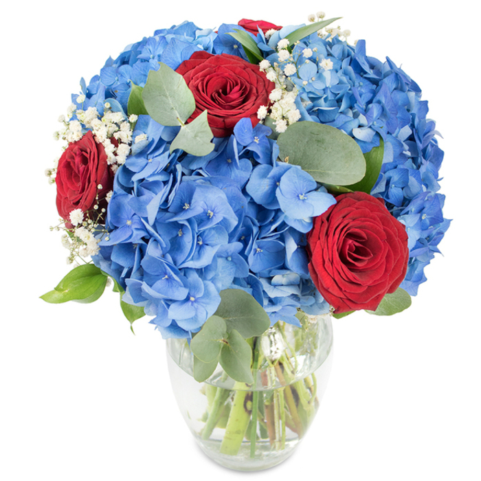A striking floral composition, curated with the kind of attention a local Queensbury florist gives to every order, is presented here in a clear glass vase against a spotless white field. Dominating the arrangement are lavish clusters of sky-blue hydrangeas, their many-petalled florets overlapping to create a plush, voluminous texture that feels like a summer sky condensed into petals. Against this cool, abundant blue, three or more deep red roses stand out-rich, velvety, and compact in form-introducing a classical note of romance and depth. Wisps of white baby's breath thread through the blooms, offering a delicate, almost lace-like counterpoint that lifts the composition, while rounded eucalyptus leaves in a muted sage-green add structure, scent and a calming visual rhythm. The clear vase, with a soft curve from base to neck, exposes the crisp green stems submerged in water, underscoring the bouquet's freshness and the careful mechanics of its construction. The lighting is bright and direct, carving subtle shadows and making every petal edge and vein visible, which highlights both the arrangement's sculptural volume and its intimate, tactile detail. I imagine it bringing colour to a mantel near Kingsbury Road or a breakfast table within sight of Wembley's skyline-an arrangement that reads as celebratory, romantic, and quietly patriotic. This is the sort of bouquet gifted for anniversaries, special birthdays, or as a refined centrepiece, reflecting the local character of Queensbury and the considered touch of a neighbourhood floral studio.
