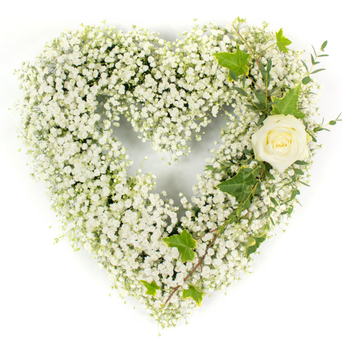 A meticulously assembled heart-shaped wreath formed from a dense cloud of white Baby's Breath (Gypsophila) rests against a stark white surface, its voluminous, pillowy texture evoking both gentleness and resolve. The tiny, constellation-like blooms are arranged to create an unbroken, classic heart silhouette; the massing of stems produces a soft, luminous field of white that feels almost tactile. Set into the upper right curve is a single cream-white rose, its petals composed in a close, elegant spiral that suggests both innocence and quiet strength. Accompanying that focal rose are deep, glossy ivy leaves with distinct lobed edges and a few narrow, pale-green sprigs resembling eucalyptus, which extend diagonally down the right flank and provide delicate, contrasting lines and a whisper of earthy fragrance. The lighting is bright and even, revealing minute details - from the velvety rose petals to the feathery texture of the Gypsophila - and lending the arrangement an atmosphere of calm dignity. Designed for funerals, memorials, or a place of remembrance, this piece communicates purity, respect, and enduring affection. As a local craftsman delivering tributes throughout Queensbury, particularly for services near the Jubilee line station and surrounding community chapels, I favour this timeless palette and restrained composition when families ask for a compassionate, understated expression of condolence.