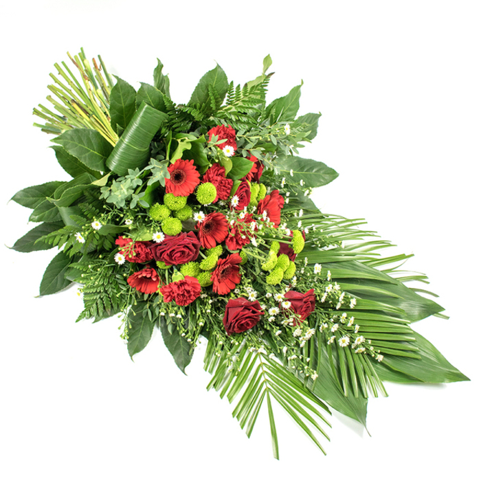 Displayed on a stark white background, this dignified funeral spray from a Queensbury florist captures a blend of tradition and modern flair in an elongated teardrop silhouette. The eye is first drawn to the generous cluster of deep red blooms at the centre and along the length: velvety classic roses, bold gerbera daisies with distinct dark eyes, and softly ruffled carnations. These flowers, in tones of scarlet and wine, speak of devotion, remembrance, and enduring love. Threaded between them, bright lime-green button chrysanthemums form perfectly rounded spheres that punctuate the spray with crisp, contemporary energy, echoing the fresh, lively greens seen in nearby Eton Grove Open Space. Tiny white filler flowers, like dainty daisies or matricaria, are sprinkled throughout the design, creating a light veil over the stronger colours and lending a sense of air and space. Surrounding all of this is a lush foundation of foliage: large, glossy dark green leaves such as salal create depth and structure, while delicate fern fronds and slender palm-like leaves extend outward, particularly to the lower right, forming a sweeping, fan-shaped accent. At the upper left, a deliberate vertical element is created by bundled green stems, one broad leaf wrapped with precision around the base to add a sculptural, contemporary touch. Crafted with the care you would expect from Flower Delivery Queensbury, this sympathy spray is ideal as a casket arrangement or standing tribute, offering a graceful expression of condolence for services held in local chapels, crematoria, or family homes throughout the Queensbury area.