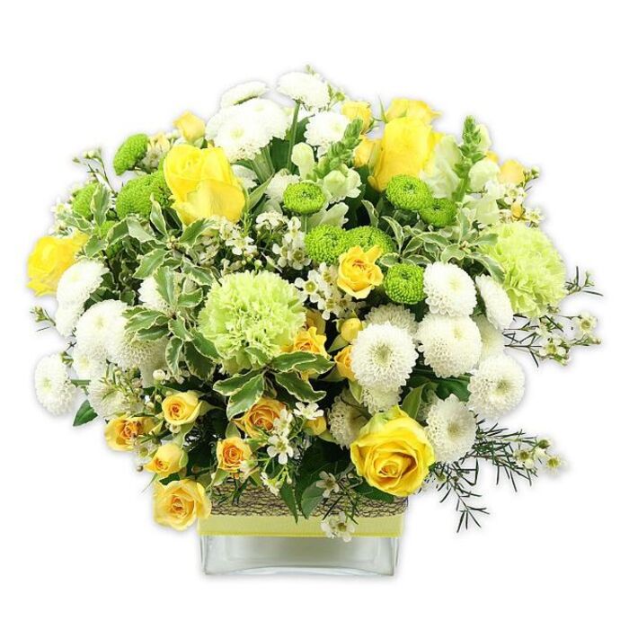 A vibrant, dome-shaped floral display bursts from a low, square glass vase, its colour palette focused on joyful yellows, crisp whites, and refreshing greens, captured against a seamless white background. The central stars are rich yellow roses, their petals curling outward in velvety spirals, paired with petite yellow spray roses that cluster like tiny suns, some still half-closed with the promise of opening. These sunny tones are cooled by layers of white pompom chrysanthemums, each bloom densely petaled and rounded, giving the arrangement a plush, cushiony feel. Bright lime green button chrysanthemums dot the design like little globes, adding playful contrast, while larger, softer pale green flowers-suggesting frilly carnations or speciality green mums-introduce a more ruffled, cloud-like texture. Encircling and weaving through the blooms is an abundance of foliage: broad green leaves edged with creamy white, glossy darker greens, and fine, delicate stems that hold miniature white star-shaped filler flowers. Together, they create a natural, garden-inspired frame that feels both structured and relaxed, much like the quiet residential streets and pocket parks around Queensbury. The square glass vase showcases the stems and is cinched at the midpoint with a rustic, textured wrap that looks like woven bark or natural fibre, banded neatly with a vivid lime green ribbon. This tactile detail grounds the lively colours with an earthy touch. The overall impression is one of fresh energy and calm joy, perfect as a centerpiece for a family celebration, a congratulatory gift for a new job or home in Queensbury, or a bright accent on a dining table catching the daylight through a bay window.