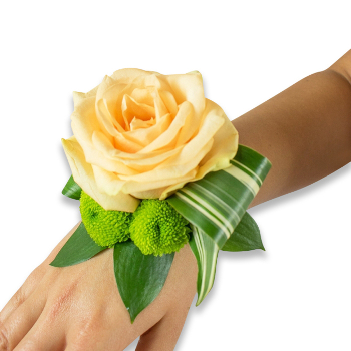 This elegant wrist corsage is showcased on the inner forearm, centred by a large, perfectly bloomed rose in a soft peach-to-light champagne hue whose petals fold in velvety layers and catch the light in warm highlights. Beneath the rose, two vivid lime-green button chrysanthemums - round, pom-pom-like and densely textured - introduce a bright, modern contrast, their tiny florets offering a playful counterpoint to the rose's smooth fullness. The arrangement is grounded by generous glossy green foliage, likely salal or ruscus, whose broad leaves create depth and a natural frame. A single variegated leaf, striped with creamy lines across deep green, is artfully curled and looped outward, producing an architectural flourish that wraps toward the wrist and adds a refined graphic element. The wristlet appears hand-assembled and wired with the fastening discreetly hidden so the flowers seem to float on the skin.
I craft pieces like this for partnerships, proms and family celebrations across Queensbury and the surrounding neighbourhoods near Wembley and Kingsbury; in soft morning light or the lantern glow of an evening reception it reads as quietly celebratory. The scent is a gentle whisper of rose softened by the green, leafy note of fresh foliage. As a working florist familiar with local halls and church venues, I design corsages to complement formal wear and moments that matter - simple, tactile, and made to be cherished.