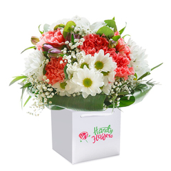 Cradled in an elegant white bag, this beautifully composed bouquet radiates warmth and energy-just the kind of remarkable arrangement one might expect from a skilled Queensbury florist serving the local community near Kingsbury Road. Flourishes of coral and ruby red carnations seem to glow with inner light, their frilled petals creating a tactile feast for the eyes. Intertwined with these are celebratory white daisies, their sunlit, lime-yellow centres sparkling with an almost infectious joy, recalling walks through nearby Canons Park in springtime. Wisps of white baby's breath are interjected thoughtfully, their fine petals lending an airy texture, like mist drifting through early morning gardens. On the left, subtle yet promising purple buds peep out, suggesting a story still unfolding. All of this rests atop a flourishing mass of deep emerald leaves, their surfaces glossy and broad, gracefully arching outwards with composure and elegance. The composition is not only visually stunning but emotionally inviting-an embodiment of joy and careful artistry, perfect for occasions that demand both beauty and meaning, whether it's a birthday delivery in Queensbury or a special gesture shared among friends on Mollison Way. The strong ribbon handles affixed to the crisp white bag reinforce its readiness for gifting, while the flawless white backdrop isolates the bouquet, celebrating its freshness and the expert care in every stem. This presentation weaves together artistry, local personality, and the timeless delight of offering fresh flowers.