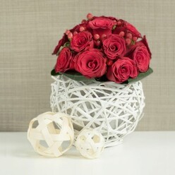 A dome of vivid red roses commands the centre of this image, the blooms clustered so closely that they form a rich, velvety mound, like a pool of colour on a crisp white table. Each rose shows a different moment in its flowering, from tightly cupped buds to open blossoms whose spiralling petals invite the eye to travel inward. Nestled among the roses are bright red Hypericum berries, smooth and glossy, introducing a slightly different texture and tone that keeps the arrangement from feeling flat. Around the base, a subtle ring of deep green leaves offers a gentle, natural frame, grounding the design without distracting from the lush red crown above. This floral heart is set into a distinctive spherical vase, crafted from slender white branches woven into an airy, openwork globe. The white-painted twigs cross and loop over one another, letting light and shadow filter through, so the vase feels almost weightless on the table. To one side, two decorative wicker balls in a natural straw colour mirror the vase's texture and round shape, adding an easy, relaxed touch that would suit a chic home or intimate wedding venue near Queensbury Park. The table itself is a smooth, bright white plane, reflecting a little of the roses' colour and reinforcing the clean, contemporary feel. Behind, a softly textured wall in muted beige or taupe recedes gently, ensuring the flowers remain the focal point. The whole composition suggests quiet celebration and refined romance, ideal as a wedding table arrangement or special-occasion centrepiece for gatherings across Queensbury.
