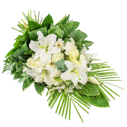 An elegant, elongated sympathy spray stretches diagonally across a clean white background, its graceful lines drawing the eye from a fuller top left to a tapered point at the lower right. The central focus is a cluster of white Oriental lilies, their velvety petals open wide in calm, star-like forms, with some buds still closed, suggesting life continuing beyond the moment of parting. Nestled among them are rounded white roses, ivory-toned carnations with delicately ruffled edges, and white Gerbera-style blooms with gentle cream or pale yellow centres, each flower adding a slightly different texture to the calm, monochrome palette. Fine, cloud-like sprigs of tiny white filler flowers fill in the spaces so that no part of the design feels empty or unfinished. Surrounding all of this is an abundance of greenery in layered tones of green: broad, glossy leaves that anchor the composition, airy fern fronds that add feathery movement, and rounded eucalyptus in muted green-blue that introduces a subtle coolness. Long, slender palm fronds sweep outwards from the lower right, giving the piece its distinctive flowing, asymmetrical shape, while a vertical bundle of looped foliage at the top adds structure and refinement. The spray is clearly intended to be viewed from the front, making it suitable for a funeral or memorial service in Queensbury, whether placed in a quiet chapel or beside a grave in a local cemetery. Its tranquil whites and fresh greens feel like a soft breath of stillness after a difficult day, a composed floral tribute that could easily be imagined arriving from Flower Delivery Queensbury, carefully transported through the familiar streets around Queensbury Station and onto a service where quiet reflection is needed.