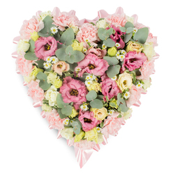 A luxuriously full, heart-shaped arrangement of pastel flowers rests on a clean white surface, radiating quiet tenderness and thoughtfully crafted detail, much like a carefully chosen tribute for a small chapel service in Queensbury. The shape of the heart is crisply defined by a narrow, soft pink satin ribbon that runs all the way around the edge, its silky texture gently catching the light and forming neat, graceful bows at the upper curve and the pointed base. Inside this outline, the design is densely woven with blossoms and foliage so that no gaps show; every space is filled. Ruffled pink lisianthus and light pink carnations create the main body of the heart, their layered petals and gentle tones blending into a plush, cushion-like surface. Interspersed among them are clusters of creamy yellow and pale ivory spray roses, or small lisianthus heads, offering subtle touches of warmth and depth, like quiet notes of comfort. Small white daisy-style flowers, each with a tiny yellow center, are dotted throughout the heart, bringing a whisper of countryside simplicity and softening the overall look. Silvery-green eucalyptus, with its rounded leaves, mingles with darker, variegated greenery, giving the tribute a natural, garden-fresh feel reminiscent of the trees and green spaces around Queensbury. The pastel palette of pink, cream, and muted green conveys a sense of gentle remembrance and peace. This floral heart is the kind of sympathy tribute chosen to express profound affection and heartfelt condolences, suitable for funeral services, memorial gatherings, or a final farewell in the local community.