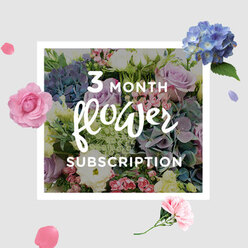 A serene pastel bouquet, part of a three-month flower subscription, is displayed as if freshly delivered to a doorstep in Queensbury, its blooms layered with the ease of a painter's careful brushstrokes. Large clusters of blue hydrangeas sit low and full, their rounded forms giving depth and structure, like soft clouds gathered at the base. Above and between them, roses in blush pink, lavender, and gentle lilac rise gracefully, some unfurling their petals in luxurious spirals, others still tight in bud, promising days of slow opening. Slim lisianthus stems, with their ruffled petals and slender buds, add airy height, mimicking wildflowers gathered from a quiet corner of Eton Grove Open Space. Fresh green leaves weave through the design, providing a verdant backdrop that sets off the cooler tones of the blooms and brings an outdoor freshness to the scene. The light in the image is calm and natural, as though filtering through a Queensbury living room window on a late Sunday morning, catching the subtle sheen on the rose petals and the soft texture of the hydrangeas. You can almost imagine the gentle fragrance drifting through the room-floral, subtly sweet, and tinged with green. The overall feeling is one of thoughtful care and regular comfort, a bouquet designed to ease into everyday life, brightening kitchen tables and sideboards month after month without ever feeling showy. It suggests a subscription meant for someone who values quiet moments, fresh flowers, and the small luxuries that make home feel truly lived in.