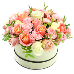 Arranged with the considered eye of a Queensbury florist, this lush hatbox bouquet rests in a round, cream-coloured box trimmed with two slim, dark bands that frame the blooms against a crisp white backdrop. The dome of flowers is densely packed: full, velvety roses present a spectrum from warm coral-peach and soft apricot at their centres to pale blush and creamy ivory at their outer petals, while clusters of light pink carnations add ruffled texture and delicate volume. Slender sprigs of vivid green foliage with small, lance-shaped leaves are artfully interspersed, catching the light and offering fresh punctuation between the petals. The composition's tactile richness-smooth rose petals, softly serrated carnation edges, and the fine sheen of green leaves-creates an inviting, tactile tableau that suggests a gentle, lingering fragrance of powdery rose and sweet carnation. As a local arrangement often chosen for birthdays, anniversary surprises or to say 'thank you', it reads as both classic and contemporary. Flower Delivery Queensbury prepares pieces like this for local doorstep surprises; the presentation is designed to travel well across Queensbury and neighbouring Kingsbury or Wembley while keeping blooms pristine. Viewed in soft natural light, the colours glow with warmth and restraint, a bouquet that feels handcrafted, intentional and perfectly suited to lift a room or mark a tender moment.