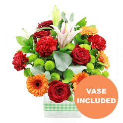 A lush, celebratory bouquet is showcased against a spotless white backdrop, the kind of arrangement you might see arriving at a family gathering in Queensbury on a bright afternoon. The flowers are artfully arranged in a contemporary clear glass cube vase, the stems visible and neatly aligned, wrapped at the base with a light green and white gingham ribbon that brings a cheerful, almost picnic-like charm reminiscent of a stroll through Queensbury Park. At the heart of the design, velvety deep red roses and rich red-orange carnations create a luxurious core, their tightly layered petals suggesting depth, passion, and abundance. Around them, bold orange gerbera daisies with dark centres fan outward, their flat, daisy-like faces radiating joy and drawing the eye across the composition. Threaded between these brighter blooms are clusters of vivid lime-green button chrysanthemums, their small spherical heads adding playful texture and a refreshing burst of colour that keeps the arrangement feeling modern and light. Elegant white Oriental lilies rise above, some fully open with delicate blush-pink veining along the inner petals and prominent stamens, others still enclosed in pale buds that promise continued unfolding beauty over the next few days. Draping fronds of glossy dark green foliage and distinctive silver-green eucalyptus stems arc gently around the edges, softening the outlines and creating a natural, garden-inspired shape that feels at once polished and relaxed. The entire arrangement is photographed in clear, even light, ensuring each bloom is sharply defined. In the bottom right corner, a bold orange circular overlay with white block lettering reads VASE INCLUDED, partially overlapping the vase to signal that this bouquet arrives complete and ready to enjoy from the moment it is delivered to a home or office in Queensbury.