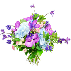 Set against a crisp white backdrop, this luxurious bouquet appears almost to float, every colour and texture bright and unhurried, like a quiet afternoon walking through Queensbury Park. Dominating the composition are generous domes of pale sky-blue hydrangea, their countless tiny petals overlapping to create a soft, cushiony effect that draws the eye to the centre. Woven confidently through these blue clouds are dramatic orchids in shades of fuchsia and deep purple, likely Vanda or Phalaenopsis, their wide petals patterned with speckles and veining that lend a sense of artful drama, as if each bloom were hand-painted. From the body of the bouquet, elegant stems of purple clematis emerge and arc outward, some flowers appearing as open stars, others more bell-like, suggesting graceful movement and a touch of wildness you might associate with a well-loved, slightly overgrown garden along Kingsbury Road. Tucked in between, clusters of miniature roses in soft pink and creamy white add sweetness and intimacy, their small, layered blooms looking almost like tiny porcelain cups. Rich green foliage anchors the composition, from glossy leaves that frame the hydrangeas to lighter greenery peeking between petals, giving the bouquet a full, fresh feel. The stems are neatly bundled at the base, clearly hand-tied with a florist's practiced hands, ready for a vase on a dining table or hallway console. The overall effect is one of calm sophistication and joyful colour, a bouquet suited to thoughtful gifts, elegant celebrations, or same-day deliveries across Queensbury when you want flowers that feel both indulgent and deeply personal.