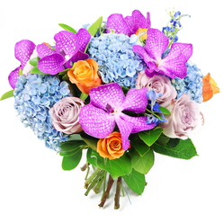 A sophisticated, hand-tied bouquet is centred against a clean white backdrop, every stem placed with the quiet confidence of a seasoned Queensbury florist. The first blooms to draw the eye are the Vanda orchids, their petals a saturated magenta-purple, etched with intricate white veining that looks almost like lace laid over silk. They bring an exotic, high-end note, as if they have been chosen for a special celebration on a quiet cul-de-sac off Honeypot Lane. Encircling these orchids, rounded clusters of pale sky-blue hydrangeas create a generous bed of colour, each head composed of many tiny blossoms that give the bouquet a soft, cushiony volume. The hydrangeas' cool blue is reminiscent of a clear morning above Queensbury tube station, offering a sense of calm that balances the richer tones. Threaded between them are roses in a thoughtful mix of hues: warm orange blooms opening in playful spirals, and dusty lavender-mauve roses with a more understated elegance. Together they add both energy and gentle nostalgia, like sharing a memory over coffee near Queensbury Circle Parade. Finer accents in a deeper, almost cobalt blue rise slightly above the main flowers, adding movement and depth similar to tall cottage flowers in a suburban garden. Lush dark green foliage, with broad, glossy leaves, wraps around the base and sides, giving the composition structure and a natural frame. The stems are visible at the bottom, freshly snipped and tied into a tight, domed form that speaks of professional handcrafting and same-day freshness. This bouquet feels ideal for marking personal achievements, offering congratulations, or sending an elegant "thinking of you" across Queensbury with warmth and style.