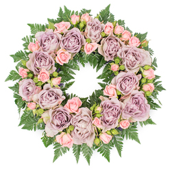 Viewed from above against a pristine white background, this circular sympathy wreath appears like a soft halo of roses, carefully crafted to honour a life with quiet grace. The design is densely packed yet never crowded, built around generous, fully open roses in dusty lavender and muted mauve, their layered petals forming delicate spirals that invite the eye to wander. Between these larger blooms, smaller blush-pink spray roses are scattered thoughtfully, from pin-tight buds to partially opened flowers, giving the wreath a gentle rhythm, almost as if the blossoms are breathing in unison. The colour palette is understated and elegant, the cool purples and warm pinks blending into a calm, comforting whole that would feel at home in a memorial service anywhere in Queensbury, from a family home near Honeypot Lane to a quiet service at a local chapel. The flowers sit on a thick bed of dark green fern fronds, their feathered, serrated leaves spreading outwards to form a lush, textured base. This greenery frames the circle like a forest backdrop, intensifying the softness of each bloom and adding a sense of depth and stability. Here and there, hints of deeper foliage and small dark buds peek through, suggesting the careful hand of an experienced funeral florist used to creating tributes for local families. The overall mood is one of serenity and heartfelt condolence, as though the wreath has been arranged to cradle memories with tenderness. It feels like a floral embrace, echoing love, remembrance, and a gentle farewell.