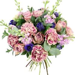 Set against a clean white backdrop, this hand-tied bouquet looks as if it has just been lifted from a florist's bench in Queensbury, still full of energy and freshness. At its core, generously petalled garden roses unfurl in shades of blush, dusty rose, and antique mauve, their cupped blooms layered like soft fabric. They are embraced by an abundance of frilled carnations whose petals move from creamy ivory at the centre to blush and then rich plum-pink along the edges, creating a painterly, almost watercolour effect. Threaded between these romantic tones, deep indigo and royal blue flowers appear, some as sleek, tulip-like buds and one striking open anemone with a dark, near-black eye that draws the gaze toward the lower front of the bouquet. Slender stems of lilac and pale lavender stock rise and twist gently upward, each lined with clusters of tiny blossoms that add lightness, scent, and subtle vertical rhythm, like the gentle sway of plants in the gardens near Kingsbury or along the streets leading to Queensbury station. Surrounding the blooms, a mix of glossy dark greenery and rounded, silvery eucalyptus leaves creates a cool, refreshing frame, their varied shapes and tones giving the design structure and balance. The stems are gathered neatly at the base, tied in a natural bundle that showcases the hand-crafted quality and readiness for delivery. The bouquet's blend of soft pinks, soothing purples, and bold blues conveys a mood of calm celebration and quiet joy, making it perfect for marking birthdays, anniversaries, new beginnings, or simply sending comfort and beauty across Queensbury.