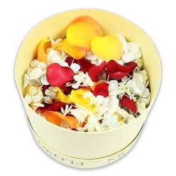A rounded cream hatbox, softly yellowed like parchment, sits alone against a spotless white background, filled to the brim with a carefully curated medley of dried petals and tiny blossoms. Viewed from slightly above, the composition reveals a generous layer of velvety rose petals in deep crimson, radiant yellow, and mellow peach-orange tones, each one curling gently at the edges as if captured in a moment of stillness. Nestled among these larger petals are delicate clusters of small white florets, reminiscent of dried hydrangea, with hints of pale blue lending a cool breath of calm to the otherwise warm palette. The word FLOWERS is faintly imprinted along the rim of the sturdy cylindrical box, echoing the understated elegance often favoured for condolence flowers ordered in Queensbury and nearby streets. The petals appear soft yet light, suggesting a quiet rustle if touched, and it is easy to imagine the subtle, lingering scent of rose and dried botanicals, like a memory carried on the air after a service. The clean, white backdrop keeps all attention on the interplay of colours and textures, allowing the arrangement to feel both luxurious and restrained. This image evokes the gentle ritual of scattering petals at a graveside in Queensbury or laying them thoughtfully across a remembrance table at home, offering a natural, heartfelt way to honour a life. It speaks of comfort, continuity, and the simple grace of flowers used as a final, loving tribute.
