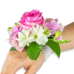 Against a pristine white background, a refined floral wristlet is displayed on a left hand and forearm of light-to-medium skin tone, every detail photographed to emphasise texture and form. The focal point is a sumptuous hot fuchsia-pink rose, its concentric petals tightly packed and unfurling like a soft sculpture, inviting an imagined breath of sweet floral perfume. Nestled close are clusters of blush pink hydrangea florets that give the piece its plush, clouded base and whisper of springtime freshness. Interspersed among these are white alstroemeria (Peruvian lilies), each with four to six clean petals and subtle pale green streaking at their centres that adds delicate contrast and clarity. On one side a small cluster of light green alstroemeria buds and tiny, nearly closed pink blooms hints at movement and future unfurling, a quiet reminder of nature's unfolding rhythm. Rich emerald green leaves provide a deep backdrop, their broad glossy surfaces framing the blossoms and anchoring the colour palette. The corsage is secured by a multi-strand bracelet made from small, creamy-white pearls that wrap the wrist and extend partially across the back of the hand, lending a vintage-inspired, tactile elegance to the wearable bouquet. Soft, even lighting accentuates petal texture and leaf gloss, making this a sophisticated choice for weddings, prom nights, or elegant celebrations around Queensbury's high street and local halls.