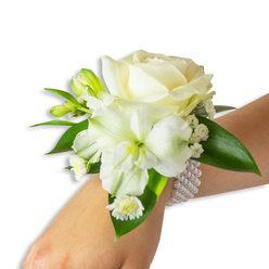 A graceful wrist corsage, photographed on a light-skinned wrist against a pristine white field of studio light, presents a study in refined white florals and glossy foliage. Anchoring the design is a full, creamy white rose whose soft, unfurling petals carry a subtle warmth; beneath it, a trumpet-shaped white alstroemeria-like bloom reveals a pale lime-green throat that draws the eye inward and adds tonal depth. Sprays of tiny white baby's breath weave through the cluster, creating a soft-focus haze, while a few vivid green buds suggest movement and future bloom. Low, daisy-like white florets with sunny yellow centres nestle toward the wrist, offering a gentle, cheerful punctuation. Broad, deep green leaves provide a lush frame and a satiny contrast that makes the whites read as purer and brighter. The floristry is finished with a multi-strand pearl band-elastic and composed of luminous round pearls-that encircles the wrist and marries classic jewellery elegance with floral softness. This piece evokes the hush of a wedding aisle or the poised energy of prom night, and it carries the calm scent of freshly cut blooms. Prepared with local care for Queensbury and the surrounding streets near Queensbury station and Kingsbury Broadway, the corsage reflects the quiet pride of local makers and is suited to intimate vows, graduation photos, or special family celebrations. Flower Delivery Queensbury crafts pieces like this to feel both personal and enduring, a small object of ceremony and memory.