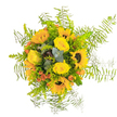 Evoking the golden glow of late afternoon in a Queensbury meadow, this hand-crafted bouquet radiates pure sunshine and happiness. Luminous yellow roses rest snugly among stately sunflowers, their generous faces and textured brown discs turned toward an unseen light. Wisps of airy fern interlace the edges, their feather-soft fronds giving the impression of gentle movement-much like the breezes sweeping through Canons Park on a summer day. Bright splashes of orange-red from clustered berries and subtle accent flowers pulse with warmth and energy, offset by the crisp coolness of eucalyptus leaves peeking from the centre. The soft, mossy greens of the foliage frame the flowers elegantly, adding depth and a lively freshness that can be felt even before the bouquet's natural fragrance unfurls. Every flower, thoughtfully positioned by local Queensbury florists, adds a note of cheer-roses providing creamy richness, sunflowers offering strength, and accent greens lending a wild, joyful edge. The scent is delicate and invigorating: fresh greenery laced with hints of honeyed bloom and dewy fern, calling to mind the start of summer in local gardens. Presented as a birthday surprise, a token of gratitude, or simply to bring light into a loved one's home, this arrangement is a gift of joy, artistry, and a touch of Queensbury's vibrant spirit.