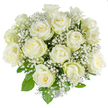 A serene, luminous bouquet of roughly fifteen to twenty creamy white roses, captured against a pure white backdrop so that every soft detail reads clearly for the senses. The roses vary from tight, freshly formed buds to gently opened heads, their velvety petals curling outward in smooth, satin-like layers with the faintest whisper of pale green on some outer guard petals-a visual cue of freshness. Nestled between the larger blooms are clouds of tiny white gypsophila, the baby's breath forming an ethereal, snow-like filler that lifts and lightens the arrangement, creating a breathy texture that contrasts with the substantial rose heads. Bright green rose foliage peeks through at the base and between stems, offering a cool, verdant frame that makes the whites sing. The stems are composed into a classic rounded dome, proportioned and balanced so the eye moves easily across the composition; lighting is high-key and even, producing a clean product-photograph aesthetic that feels calm and refined. As a florist describing this to someone who cannot see it, I'd note the gentle fragrance-soft, almost powdery-and the tactile contrast between velvet petals and feathery gypsophila. This bouquet reads as an emblem of purity and quiet celebration, fitting for a wedding centrepiece, a condolence tribute, or a gift to mark a new chapter. Its peaceful presence would suit a modern Queensbury living room or a small ceremony held near the station, bringing a sense of composed grace and hopeful stillness wherever it's placed.