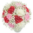 Imagine the tender embrace of this Queenbury-inspired bouquet-a dreamy sphere of plush carnations in crimson, blush pink, and creamy white, cradled by billowing clouds of baby's breath. As you pass through the bustling heart of Queensbury, the arrangement conjures memories of peaceful afternoons in nearby Eton Grove Park and the communal spirit felt along Church Lane. Each carnation's deeply ruffled petals ripple with life, their hues entwined in a visual conversation, from deep romance to gentle affection. The ethereal gypsophila swirls between the blooms like mist, diffusing light to create an impression of softness and hope. Nestled in a glistening, rounded glass vase, the bouquet's stems and crystal water are elegantly revealed, grounding the luminous display. Illumination from above brings out the fresh, radiant colours, while the pure white background focuses solely on the flowers' vivid beauty. Perfect for celebrating milestones or simply brightening a loved one's day in Queensbury, this arrangement expresses both classic sophistication and a down-to-earth, heartfelt joy-one that lingers long after the first glance, like a gentle reminder of the kindness found in our local community.