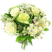 A refined white-and-green hand-tied bouquet is pictured against a bright, uncluttered white background, giving the arrangement a fresh, gallery-style presence. At its core, creamy white roses with fully unfurled, velvety petals create a sense of softness and classic romance, each bloom opening generously as if in a gentle sigh. Tucked close to them are rounded heads of ornamental kale, their robust, textured leaves shifting from deep, rich green at the outer edges to paler, ruffled centres in tones of lime and yellow-green, introducing a modern, botanical focal point. Between these statement flowers sit clouds of delicate white daisies and spray chrysanthemums, their petite petals and pale yellow-green centres providing a light, airy counterpoint. Wisps of greenish-white astrantia, with their characteristic star-shaped bracts, dart through the bouquet like tiny fireworks frozen in time, while occasional slender petals of white alstroemeria hint at fine stripes and subtle markings. A collar of mixed foliage, from broad, glossy leaves to more slender, textured greens, frames the blooms and underscores the garden-inspired character of the design. The stems gather neatly at the base in a visible hand tie, showcasing the florist's craftsmanship and readying the bouquet for a vase in a Queensbury kitchen or hallway near the station. The composition feels calm, cool and reassuring, making it as fitting for a winter wedding or engagement celebration as for sending thoughtful sympathy flowers, with the tranquil palette echoing the quiet residential streets that thread through Queensbury and the surrounding area.
