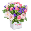Bursting with the joyful hues of pinks and purples, this striking Queensbury bouquet is a testament to local floral artistry. Set in a modern, snow-white square pot with smooth, gleaming sides, the arrangement ribbons together an abundance of soft pastel pink roses-some tightly furled in hopeful buds, others open wide with velvety petals displaying their fullest beauty. Light pink gerbera daisies, their cheerful yellow-white centers glowing, anchor the eye towards the bouquet's base and offer a sense of optimistic cheer. Feather-textured clusters of deep purple limonium are laced throughout, bringing a playful energy and a touch of wildflower meadow spirit, while smaller sprinklings of white filler blooms brighten the composition. Wisps of fresh, vibrant green foliage peek through the arrangement, the natural glossiness of each leaf subtle yet striking against the light color palette. The box itself features a sweet, whimsical motif-a painted ladybug next to playful green script reading 'Little stars'-adding a note of personality accentuating the bouquet's charm. Ideal for celebrating birthdays, offering heartfelt thanks, or sending get-well wishes across Queensbury's neighborhoods, this arrangement breathes hope and affection into any occasion, serving as a beautiful symbol of care from the community's experienced florists.