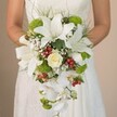A bride in a flowing white wedding gown is gently pictured from mid-torso as she holds an impressively cascading bouquet, each bloom chosen and arranged with a florist's care in the heart of Queensbury. The bouquet's shape is a graceful teardrop, created by the arch and spill of exquisite white Phalaenopsis orchids that fall like ribbons from the main cluster. Dominating the crown of the bouquet are pristine white Oriental lilies, their large, star-shaped petals adorned with faint maroon freckles, glowing warmly in soft natural light-a palette reminiscent of wedding celebrations near Queensbury's tranquil parks. A classic creamy rose at the centre lends an air of enduring romance, contrasted beautifully by vivid lime green blooms, likely cushion mums or hydrangeas, that inject lively colour. Small clusters of shiny, cheerful red Hypericum berries offer a festive touch, nestling among soft tufts of baby's breath that give the bouquet a gentle, airy feel. Fine strands of greenery and longer grass blades weave through, adding movement and a touch of the wild, echoing the leafy stretches of the Jubilee line's green spaces. A discreet white satin ribbon is glimpsed within the bride's serene hold, finishing this arrangement with understated elegance. Overflowing with freshness and tactile contrast, this bouquet exemplifies the artistry of local Queensbury florists, serving as an inspiration for elegant bridal designs attuned to both tradition and the subtle joys of a contemporary celebration.