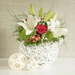 This photograph captures a wedding-ready basket arrangement that blends traditional romance with an easy, contemporary style, much like the mix of old and new you find around Queensbury's residential streets. A white woven basket forms the base, its open lattice allowing glimpses of stems and greenery, suggesting an artisan touch rather than something mass-produced. From this structure rise tall, graceful white lilies, some petals fully stretched into star-like blooms, others still wrapped in promise, their soft, pollen-dusted centres drawing the eye. Between them sit tightly spiralled red roses, their velvety petals a deep, wine-like scarlet that speaks of devotion and celebration. Around the larger blooms, rounded tufts of vivid green dianthus mimic fresh garden moss, adding a playful, tactile texture that contrasts with the smoothness of the lilies and roses. Sprigs of gypsophila scatter tiny white dots throughout the arrangement like confetti, while glossy hypericum berries in shades of red peek between the leaves, adding rhythm and depth. Delicate greenery arches and spills slightly over the rim of the basket, giving the design a natural, garden-picked feel rather than strict formality. Gentle daylight, the kind you might see filtering through windows on a quiet Queensbury morning, accentuates each petal and leaf, making the arrangement look crisp and newly made. Suitable for wedding tables, registry office bouquets, or to welcome guests at a local reception, this composition conveys tenderness, hope, and commitment, as if the flowers themselves were offering a blessing on the couple's new chapter together.