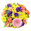 This top-down photograph captures a tightly composed, circular bouquet that seems to glow against its crisp white background, as though a pocket of spring has been gathered from Queensbury's parks and patios and set gently on a table. A generous ring of bright yellow chrysanthemum daisies forms the bouquet's radiant backbone, each bloom offering slim, daisy-like petals that reach outward from soft green-yellow centres, creating a sense of sunshine and optimism. Nestled among these are rich indigo-purple lisianthus flowers, some fully open into ruffled trumpets, others in smooth, elongated buds that hint at tomorrow's blooms. Their cool, velvety tones introduce a sophisticated counterpoint to the warm yellows. Scattered throughout, coral-orange carnations bring a playful, frilled texture; their scalloped petals cluster in soft, rounded heads that lend the design both volume and gentle movement, like laughter shared over coffee along Queensbury's local high street. Near the lower centre lies a standout pink gerbera daisy, large and confident. Its clear, evenly spaced petals form a perfect circle around a textured greenish-yellow heart, becoming a natural focal point and giving the bouquet its friendly, modern character. Around the edges and peeking between blossoms, glossy green leaves and lightly variegated foliage with pale margins provide a fresh, leafy contrast, framing the brighter colours and suggesting careful conditioning and arrangement by a skilled florist. The mood conveyed is upbeat and celebratory, ideal for birthdays, congratulations, or simply sending a burst of happiness with same-day flower delivery to homes and offices across Queensbury.