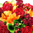 The photograph showcases a densely packed bouquet that seems to radiate warmth, as if freshly arranged in a cosy Queensbury flower shop on a bright morning. Lush red roses form the focal point, their fully opened blooms revealing intricate spirals of velvety petals that suggest passion, tenderness, and enduring affection. Interwoven among them are striking orange lilies, each flower flaring outward with wide, slightly curled petals that fade subtly from deep orange near the centre to a softer glow at the tips, reminiscent of evening skies over the nearby parks. Smaller burgundy rosebuds and miniature roses nestle between the larger blossoms, their darker tones adding a sense of depth and quiet luxury, like hidden secrets within the bouquet. Around and beneath the flowers, glossy green foliage provides structure and contrast: broad leaves gently cradle the main blooms, while slender stems of finer greenery thread through the arrangement, giving it a natural, garden-inspired rhythm. A single leaf at the front curves and loops with deliberate grace, guiding the viewer into the heart of the composition. Clusters of glossy, ruby-red hypericum berries are dotted throughout, their rounded forms and polished surfaces catching the light like tiny ornaments, echoing the red roses while adding playful texture. The whole arrangement is bathed in bright, soft light, which amplifies the richness of the reds and oranges and highlights a faint dewy sheen on petals and berries. Created with the practiced hand of a local Queensbury florist, this bouquet feels perfect for marking joyful milestones, surprising a loved one, or bringing a bold, romantic splash of colour into any home across the area.