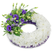 A dignified circular funeral wreath photographed against a pure white studio backdrop, the soft light casting a faint, diffused shadow beneath the composition to give gentle depth. The foundation is a thick, continuous ring of pristine white cushion chrysanthemums-each bloom densely massed so the ruffled petals create a plush, seamless surface that reads as calm and pure. Around the inner and outer edges a fine, crinkled band of deep purple mesh or lace peeks through, a subtle tailoring detail that deepens the palette and echoes the accent flowers. Anchoring the piece on the upper-left quadrant is a composed spray of purple Eustoma (Lisianthus) in a small cascade: fully opened, velvety deep-violet blooms reveal pale yellow centers while softer lavender buds and slender stems add height and movement. Interwoven among the Eustoma are fresh green leaves-broad, slightly variegated foliage and delicate fern-like fronds-that provide texture and a living contrast to the white cushion. The arrangement carries a quiet, contemplative scent when fresh, the cool green notes balancing the soft, honeyed undertones of the chrysanthemums. The overall feeling is one of respectful restraint and gentle comfort, crafted to offer solace at a funeral, memorial, or graveside service. As a local Queensbury florist would present it, the wreath suits the intimate chapels and community funeral spaces around Queensbury tube station and nearby Kingsbury and Wembley, where families often ask for classic white tributes with a single, meaningful accent of purple. The workmanship is tidy and refined, intended to convey sympathy, remembrance, and enduring respect without ostentation.