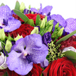 In this close-up floral portrait, a lush, romantic bouquet fills the frame with layers of purple and red, evoking the feeling of an elegant celebration in Queensbury. At the centre, dramatic Vanda orchids command attention, their broad petals awash in lavender, lilac, and deep twilight purple. Delicate speckles and fine veining in darker tones ripple across each petal, giving the orchids an almost ethereal, patterned quality, like delicate lace resting among the blooms. Pressed closely against them are velvety crimson red roses, each flower formed from tightly curled petals that spiral inwards, symbolising deep affection and enduring love. Surrounding these focal blooms, rich purple lisianthus blossoms bring a softer, more ruffled texture; some are fully open and generous, while others remain as slender, lime-tinted buds that speak of new chapters about to unfold. A carpet of glossy, emerald green foliage cradles the arrangement, the leaves catching soft, diffused light in the way garden plants do after gentle rain over Queensbury's residential streets. Threaded throughout the bouquet are sprigs of fresh chartreuse greens and tiny berries, adding delicate pops of brightness and a slightly untamed charm. Subtle hints of pale pink and white petals peek from the edges, offering quiet contrast and drawing the eye gently outward. The composition feels full and opulent, with every space between blooms carefully considered, blending cool purples with the warmth of ruby reds. It is easy to imagine this bouquet being hand-delivered to a home near Queensbury station, ready to mark an anniversary, a romantic milestone, or a cherished birthday with its sophisticated beauty and heartfelt presence.