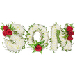 A tender, elaborate floral tribute spells out the word SON in three bold capital letters, each formed from a dense, cushion-like carpet of small white spray chrysanthemums that read as soft, reverent pillows. The white blooms are tightly packed so their tiny petals create a quietly luminous surface against a clean white background, the overall effect calm and dignified. Woven through and around the letters are trailing strands of glossy green ivy that trace the curves and angles like a living outline, adding texture, depth and a sense of quiet continuity. Deep, velvety red roses provide the emotional punctuation: a cluster of three rich red roses is tucked into the upper left curve of the S, a single prominent red rose sits at the bottom centre of the O framed by feathery fern fronds and supportive greenery, and another vertical cluster of three red roses runs along the right side of the N. The contrast of pure white, vivid green and passionate red reads as both solemn and affectionate, a visual language of purity, enduring memory and love. Soft, natural light falls across the arrangement, highlighting the satin sheen of the rose petals and the delicate texture of the chrysanthemums, and there is an almost faint, comforting scent of fresh blooms-green, slightly sweet, with a whisper of rose. As a local Queensbury florist would describe it, this personalised funeral letter tribute is crafted with deliberate care to honour a son: suitable for chapel display, graveside, or wake, it conveys respect, tenderness and the quiet presence of remembrance for those gathering to grieve and to celebrate a life.