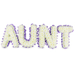 A serene, deeply respectful floral tribute spells the word AUNT in large, elegant capital letters, arranged on a clean white background so every petal reads clearly. Each letter is densely formed from tightly packed white spray chrysanthemums-their small, cloud-like florets creating a soft, tactile carpet of petals with fleeting pale-yellow hearts at some centres that catch the light. A rich, deep purple satin ribbon traces the outer edge of every letter, gently ruffled and pleated to add a refined scalloped border that lifts the flowers from the white plane; the ribbon's soft sheen gives the whole piece a quiet dignity. Subtle grey shadows beneath each letter reveal the three-dimensional frames and the careful spacing between them, suggesting a substantial, hand-built construction meant to be read from a distance at a service or wake. There is a faint, green, slightly dewy chrysanthemum scent that rises from the blooms, fresh and consoling rather than overpowering, and the texture of the petals invites a compassionate, almost tactile response. The overall effect balances purity and warmth-white for remembrance, purple for reverence-so the tribute reads as both a personal name and a calm, visual embrace. As a local Queensbury florist would arrange it, the design is suited to funeral chapels, church lobbies, or a family home, where it offers a dignified, bespoke statement of love and loss while keeping the tone hopeful and respectful for those gathered to remember a cherished aunt.