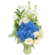 A tall, elegant bouquet sits in a clear, gently tapered glass vase against a pure white background, the water and neatly trimmed stems visible through the glass like a quiet promise of freshness. At the heart of the arrangement is a generous, rounded cluster of vibrant royal-blue hydrangeas - their dense, velvety florets creating a cool, tactile focal point that reads almost like a soft summer sky. Nestled below and around that blue mass are several creamy white roses, their layered petals unfurling with a velvety softness that tempers the boldness of the hydrangeas and lends the composition a tender, classic warmth. Rising above with sculptural poise are pristine white calla lilies, their trumpet-shaped spathes smooth and porcelain-bright, catching the light at their gently green-tinted bases. Slender spires of white snapdragons (or similar vertical stock) thread through the upper sections, adding a delicate, whimsical rhythm and extra height. Interspersed throughout are deep, glossy green leaves - the broad, hearty salal or lemon leaf - and softer, feathery fern fronds that cascade toward the vase's rim, softening the silhouette and giving the design a garden-picked authenticity. The overall palette of cool blue, crisp white, and rich green conveys serenity and refinement; the scent is quietly floral, the textures ranging from plush hydrangea heads to the sleek calla surfaces and the gentle give of rose petals. This arrangement, consciously restrained and thoughtfully composed, suits sympathy and remembrance, a refined anniversary or birthday gift, or a luxurious centerpiece for an intimate gathering in or around Queensbury.