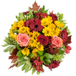 Seen from a close top-down view, this densely packed autumn bouquet reads like a warm memory of an October afternoon in Queensbury. A circular, hand-tied composition sits against a white backdrop, its surface carpeted with golden-yellow button chrysanthemums that catch the light like small suns. Deep burgundy gerbera daisies, with their flat open faces and smokier centres, punctuate the arrangement and draw the eye inward, while fully opened roses in velvety crimson and softer coral-pink to peach shades unfurl like warm, reassuring hands. Scattered between the larger blooms are star-shaped alstroemeria in cranberry and reddish-brown tones, their delicate streaks and fine petals adding intricate texture and tiny focal points. Lush glossy foliage and variegated light-green leaves edged in creamy white form a fresh, supportive frame beneath the blooms, their surfaces reflecting a soft studio light and giving the bouquet depth. Here and there, reddish-brown autumn leaves-maple-like in shape-peek from the perimeter, rooting the composition in seasonal earthiness and suggesting a walk through nearby parks. The scent is faintly sweet with green undertones, a subtle reminder of late-summer roses and crisp woodland air. The overall mood is generous and comforting, a harvest-inspired statement that suits a Thanksgiving table, an autumn wedding, or a thoughtful birthday in the neighbourhood. As a local floral piece, it feels both expertly arranged and intimately familiar, the kind of bouquet that would brighten a kitchen table near Queensbury station or serve as a gracious gift for loved ones in the area.