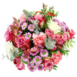Viewed from directly above, this bouquet spreads out in a perfect rounded flourish, every petal clearly visible against a pure white background that makes the colours sing, as though laid out in a studio just off Queensbury's bustling high street. At its core, generous roses in deep fuchsia and soft blush pink open fully, their petals overlapping in velvety spirals, some with pale, cream-tinted tips that add an elegant, almost vintage note. Around them, peach-pink carnations gather like soft waves, their finely frilled petals creating lush texture and a sense of cosy fullness. Dancing between these larger blooms are daisy-like chrysanthemums in shades of lavender and mauve, each one dotted with a vivid lime-green centre that sparkles like little buttons of light, bringing fun and freshness to the design. Creamy white blossoms are scattered throughout, quietly brightening the palette and linking the bolder tones together. Encircling the flowers, eucalyptus leaves in a muted, silvery green curve outward, lending a cool contrast and a subtle, calming scent. Deeper green foliage anchors the bouquet, while slim reddish-pink variegated leaves echo the roses and hint at shifting seasons over local landmarks like Queensbury Park. The overall impression is of a thoughtfully crafted, abundant arrangement, rich in romantic pinks and gentle purples yet carefully balanced with greens and whites. It feels ideal for a spring or early autumn delivery in Queensbury, perfect for birthdays, thank-you gestures, or simply adding an elegant burst of colour and fragrance to someone's day.
