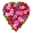Viewed from above, this heart-shaped floral tribute is a dense, sumptuous mosaic of fully opened roses that reads like a love letter in colour and texture. Deep crimson and rich burgundy roses anchor the composition, their velvety petals folding inward toward tight centers that still promise freshness; around them, classic bright reds and coral-tinged pinks offer warmth, while soft pastel blush and luminous fuchsia add a tender, joyful counterpoint. Sprinkles of lavender, mauve and plum roses thread through the reds and pinks, giving the heart a gentle, contemplative depth that can read as romantic or reverential. The blooms sit shoulder to shoulder with no visible gaps, forming a lavish, petal-packed surface that invites the fingertips to imagine a plush, velvety touch. Encircling the entire silhouette is a fine, moss-like border of dark green foliage-springy and slightly glossy-which peeks between heads and crisply defines the heart's edges, like a frame of living velvet. Soft, diffuse light from above emphasizes the layered spiral of each bloom and lets the colour gradations glow without harsh shadows; there is an earthy perfume suggested in the air, a quiet, classic rose scent that suits both celebration and consolation. Crafted with the kind of meticulous care I'd bring to a sympathy piece or an anniversary display, this arrangement is equally at home on a commemorative table or as a romantic centrepiece. Locally, it evokes the serene corners of Queensbury-near the station and local parks-where community gatherings and private remembrances alike call for flowers that speak with honest, abundant feeling.